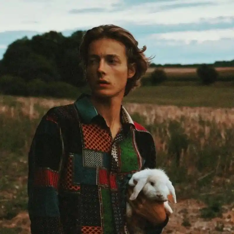 एमिलिया